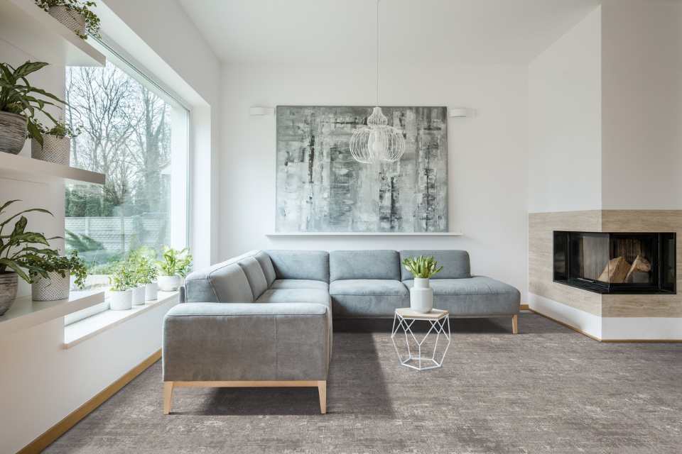 gray patterned wall to wall carpet with open shelving and plants